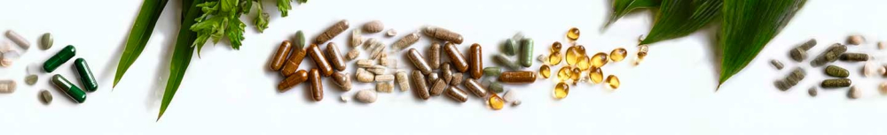 Quel probiotique prendre tous les jours ?