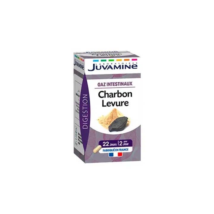 Charbon Levure Gaz Intestinaux Juvamine - boîte de 45 gélules