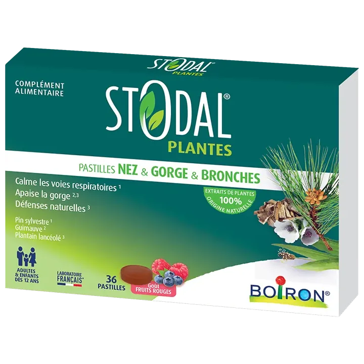 Stodal plantes pastilles nez gorge bronches goût fruits rouges Boiron - boite de 36 pastilles