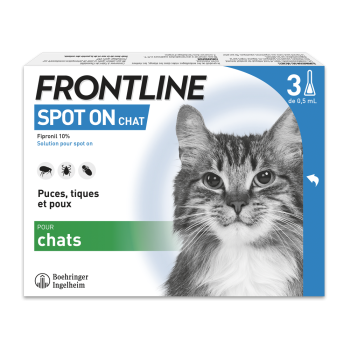 Spot On chat Frontline