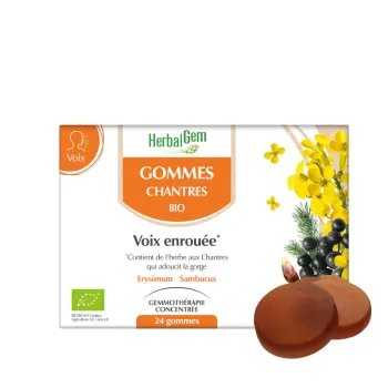 Gommes chantres voix enrouée bio HerbalGem - boite de 24 gommes