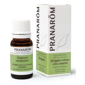 Huile essentielle d'Origan à inflorescences compactes Pranarôm - flacon de 10 ml