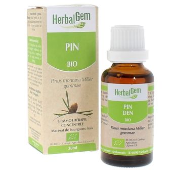 Pin des montagnes BIO Herbalgem - 30 ml