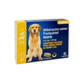 Milb&eacute;mycine Praziquantel Vermifuge chien +5kg ar&ocirc;me viande Viatris - boite de 2 comprim&eacute;s