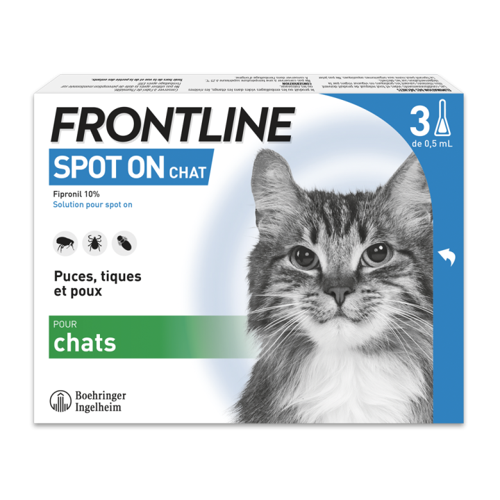 Spot On chat Frontline