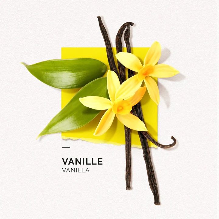 Eau de parfum Vanille Solinotes