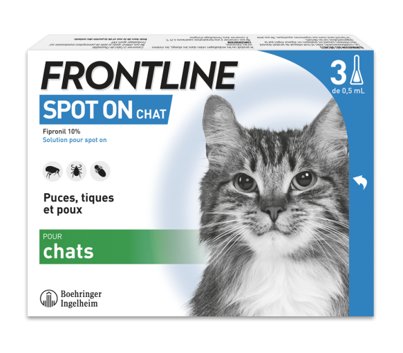 Spot On chat Frontline - image 1