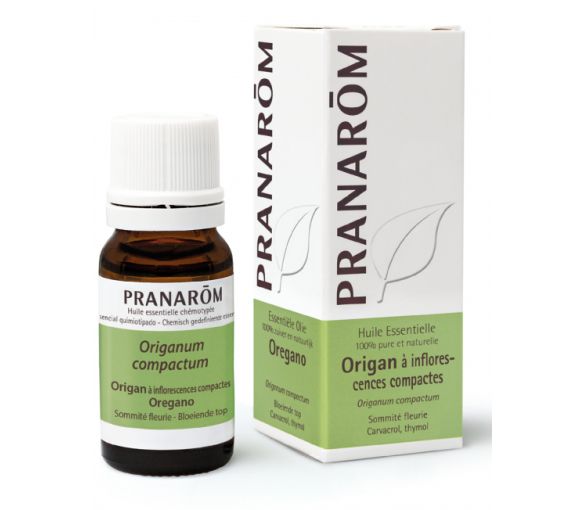 Huile essentielle d'Origan à inflorescences compactes Pranarôm - flacon de 10 ml