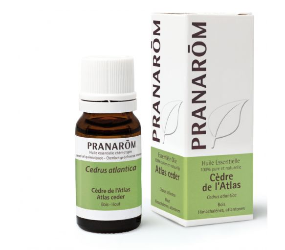 Huile essentielle de Cèdre de l'atlas Pranarôm - flacon de 10 ml