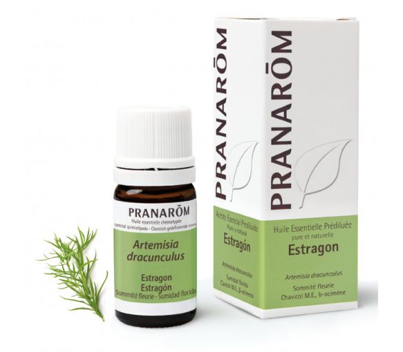Huile esssentielle prédiluée estragon (Artemisia dracunculus) Pranarôm - flacon de 5 ml