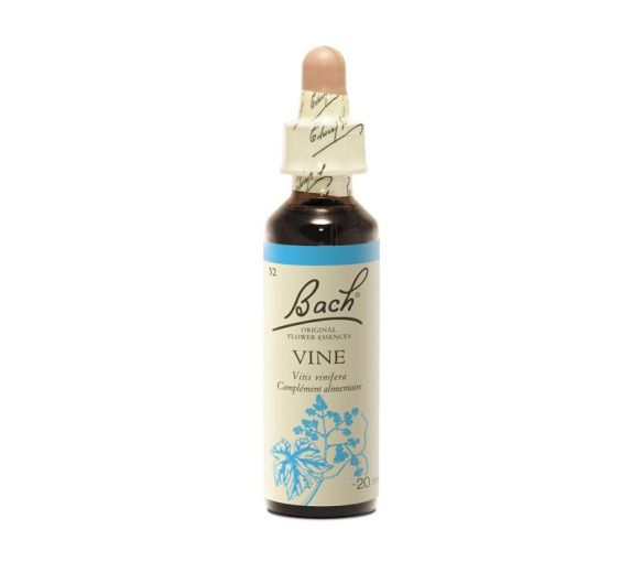 Fleur de Bach Vine Vitis vinifera - flacon de 20 ml - image 1