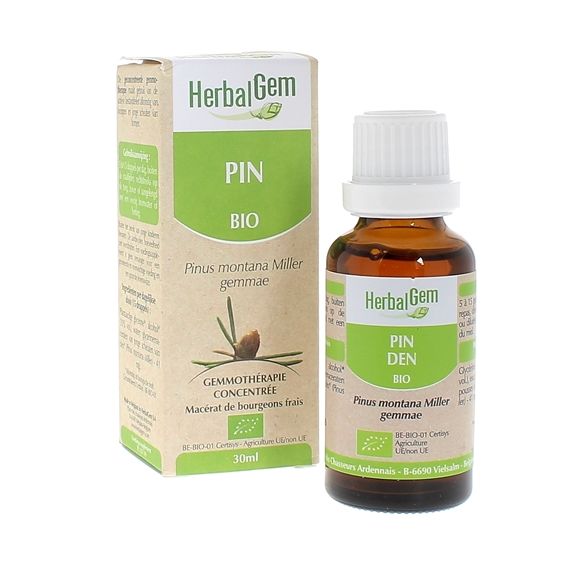 Pin des montagnes BIO Herbalgem - 30 ml