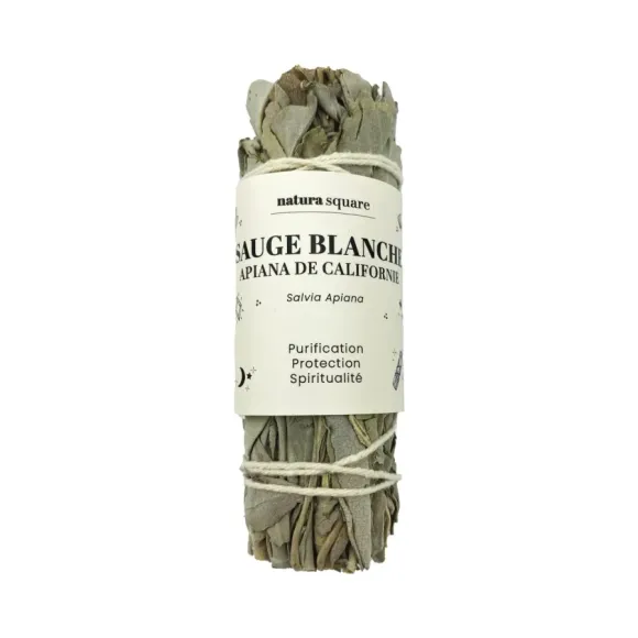 Sauge blanche Apiana de Californie Natura square - 1 fagot