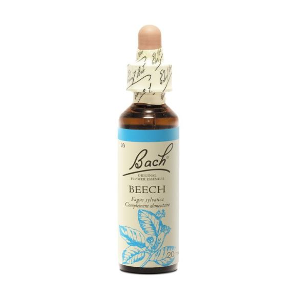 Fleur de Bach Beech Fagus sylvatica - flacon de 20 ml