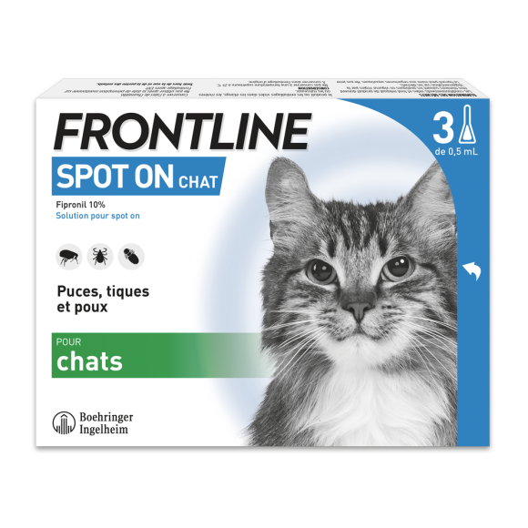 Spot On chat Frontline