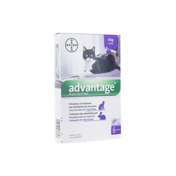 Advantage 80 pour chat et lapin plus de 4 kg Bayer